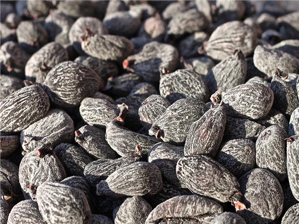 DALDIRMA İNCİR (250gr)