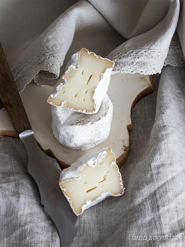 MASTER FARM CHEESE