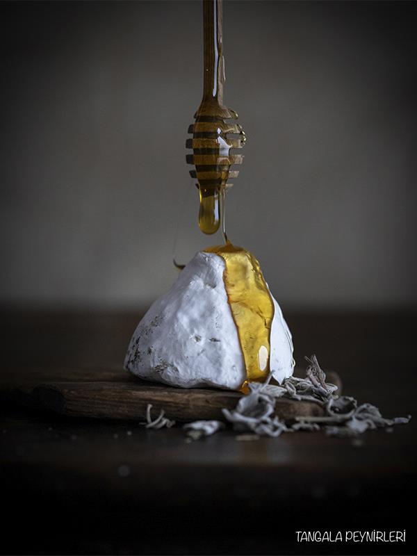 TANGALA SEÇKİ