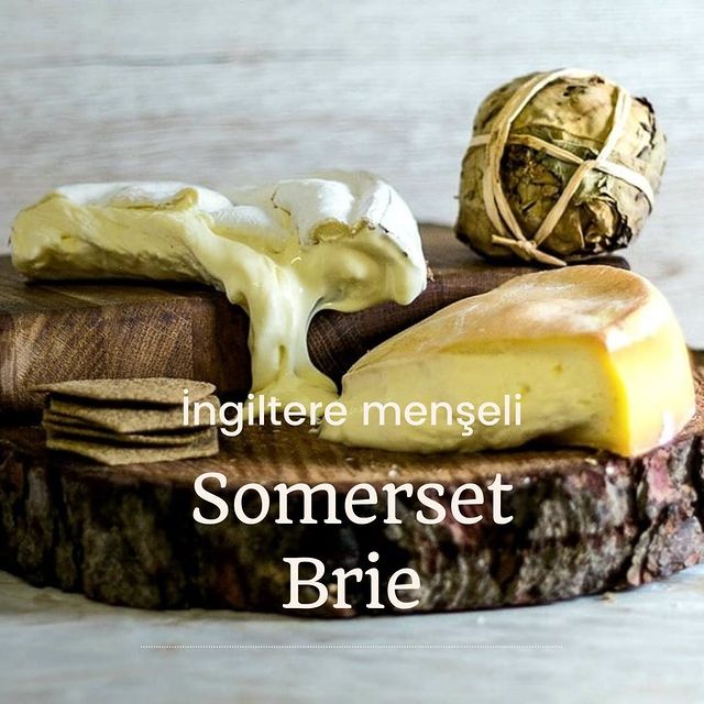 Somerset Brie