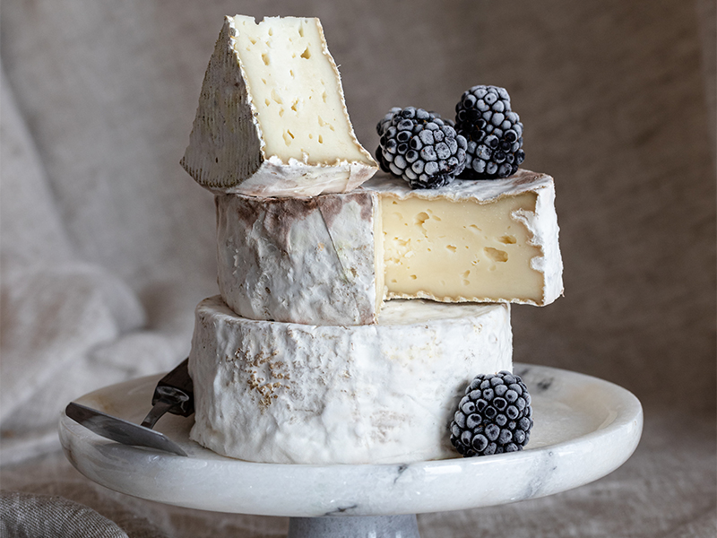 Yıllara Meydan Okuyan Kaslar İçin Lezzetli Bir Sır: Sarkopeni ile Savaşta Peynirin Gücü