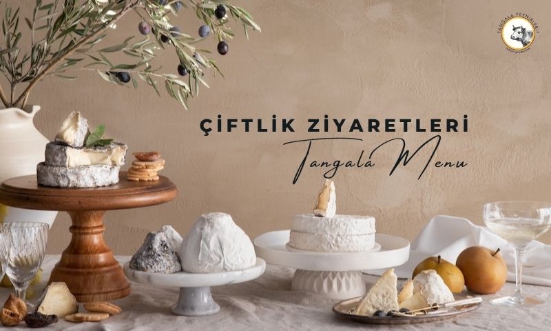 ÇİFTLİK ZİYARETLERİ
